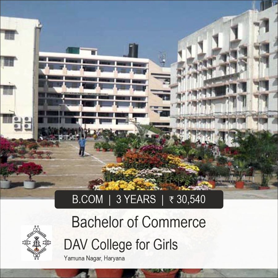 Bachelor of Commerce [B.Com] at Dav College For Girls, Yamuna Nagar, Haryana - Other